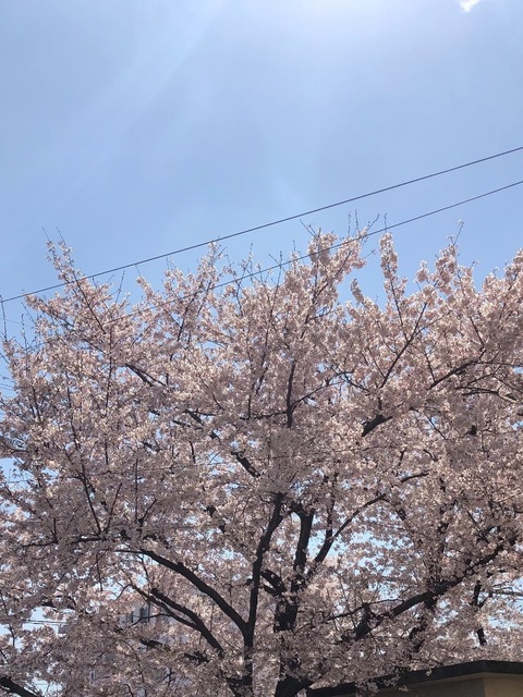 9EF7CB5D-1D90-4AC4-A3CE-226E8940C5D2.jpeg