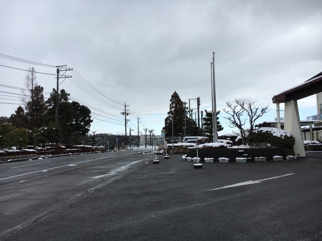 C0D84D27-3A5D-4D81-9A77-BC032CDFA4E6.jpeg