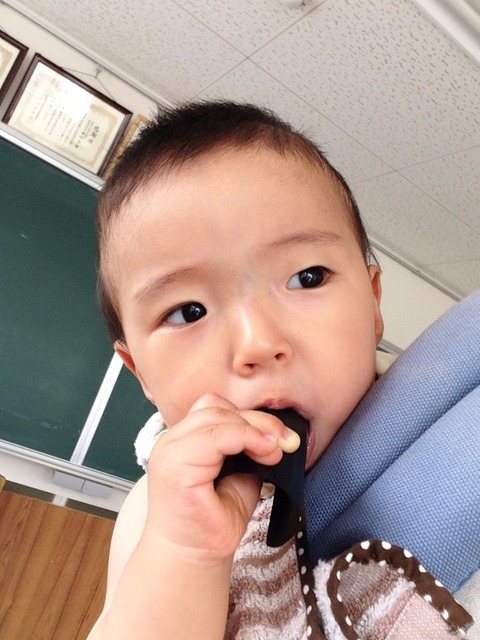image1.JPG